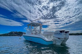 Big Game Fishing - 28′ Century