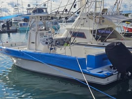 Inshore Sportfishing