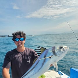 Inshore Sportfishing