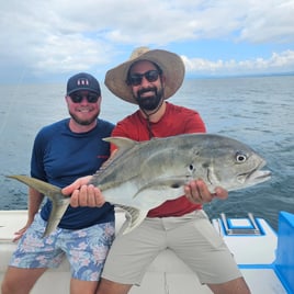 Inshore Sportfishing