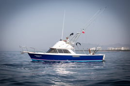 Big game fishing 