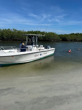 Nearshore bottom fishing/trolling