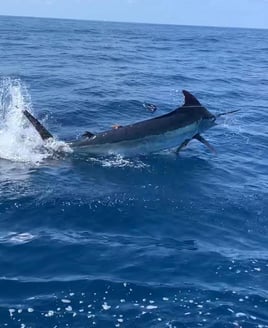 Costa Rica Full-Day Fishing