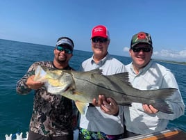  Inshore Fishing Trip