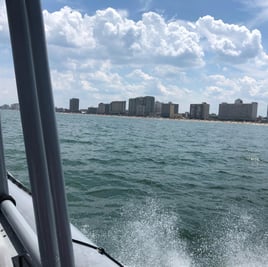 2HR Dolphin Cruise