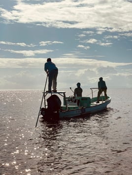 Belize Flats Fishing