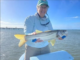 Belize Flats Fishing