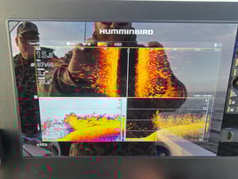 Inshore Fishing Trip