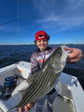 Inshore Fishing Trip