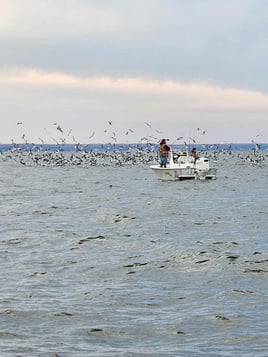 Inshore Fishing Trip