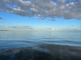 3/4 Day Custom Eco/Beach Adventure!