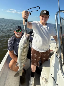 5 Hour Striped Bass In-Shore Trip