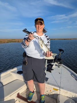 5 Hour Striped Bass In-Shore Trip