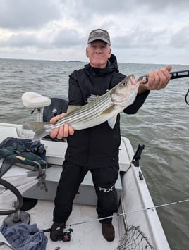 5 Hour Striped Bass In-Shore Trip