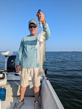 5 Hour Striped Bass In-Shore Trip