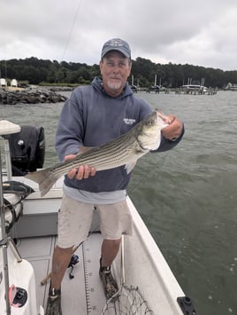 5 Hour Striped Bass In-Shore Trip