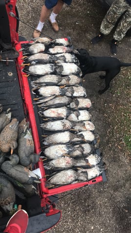 Texas marsh and bay duck hunting 