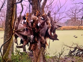 Texas marsh and bay duck hunting 