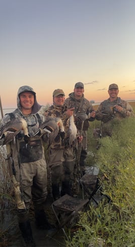Texas marsh and bay duck hunting 