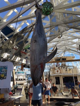 5-14 HR Bottom & Trolling