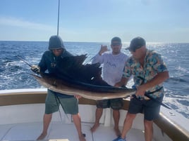 6-14 HR Bottom Fishing & Trolling 