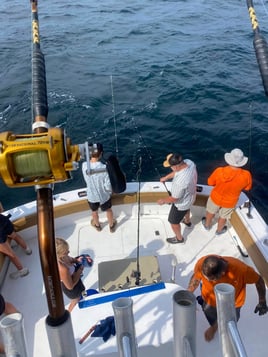 5-14 HR Bottom & Trolling