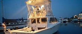 Luxury Deep Sea Fishing 8 hrs 