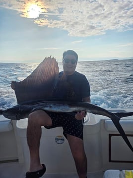 Luxury Deep Sea Fishing 8 hrs 