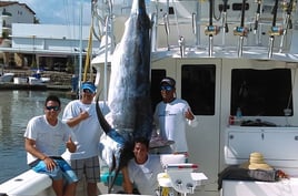Luxury Deep Sea Fishing 8 hrs 