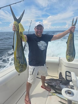 Luxury Deep Sea Fishing 8 hrs 