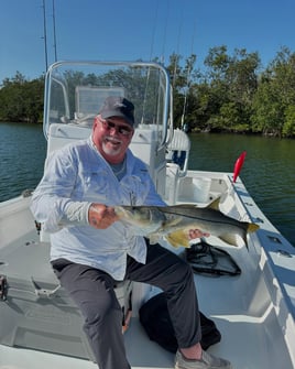 2-8 Hour Inshore Trip