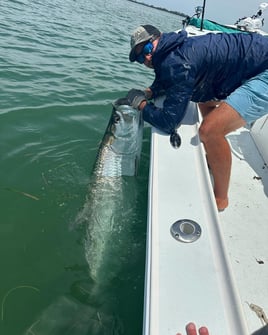6-8 Hour Tarpon Trip