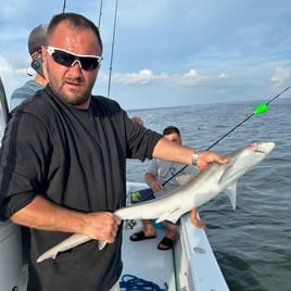 5 Hour Shark Fishing