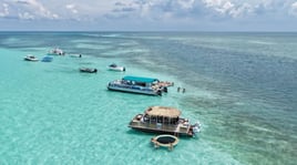 Sandbar Tours