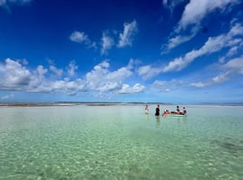 Sandbar Tours