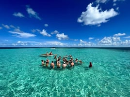 Sandbar Tours
