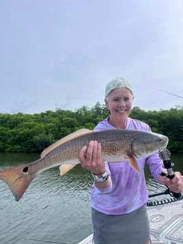 Inshore Fishing Trip