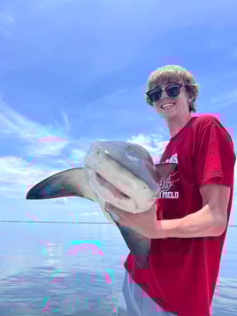 Shark Fishing Charter