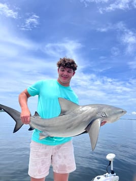 Shark Fishing Charter
