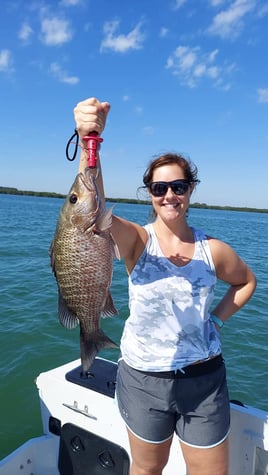 4 Hour Trip Morning – Inshore