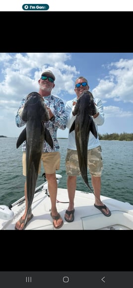 6 Hour Trip – Offshore