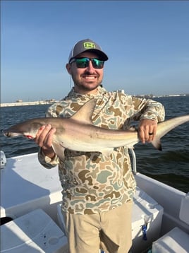 Shark Fishing