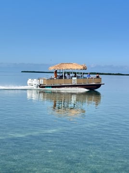 Tiki Boat Tours