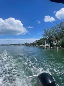 Tiki Boat Tours