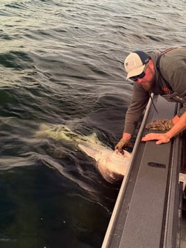 Full Day Trip Columbia River