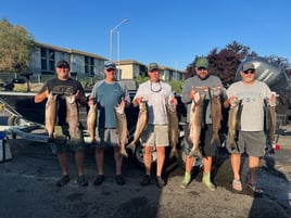 Full Day Trip Columbia River