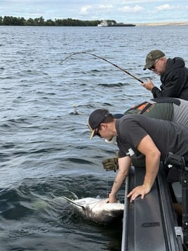 Full Day Trip Columbia River