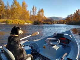 Olympic Peninsula Winter Steelhead