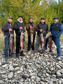 8 Hour Trip – Fall Kings