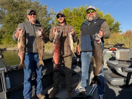 8 Hour Trip – Fall Kings